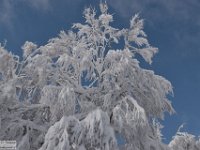 2017-12-29 V. del Morretano 163